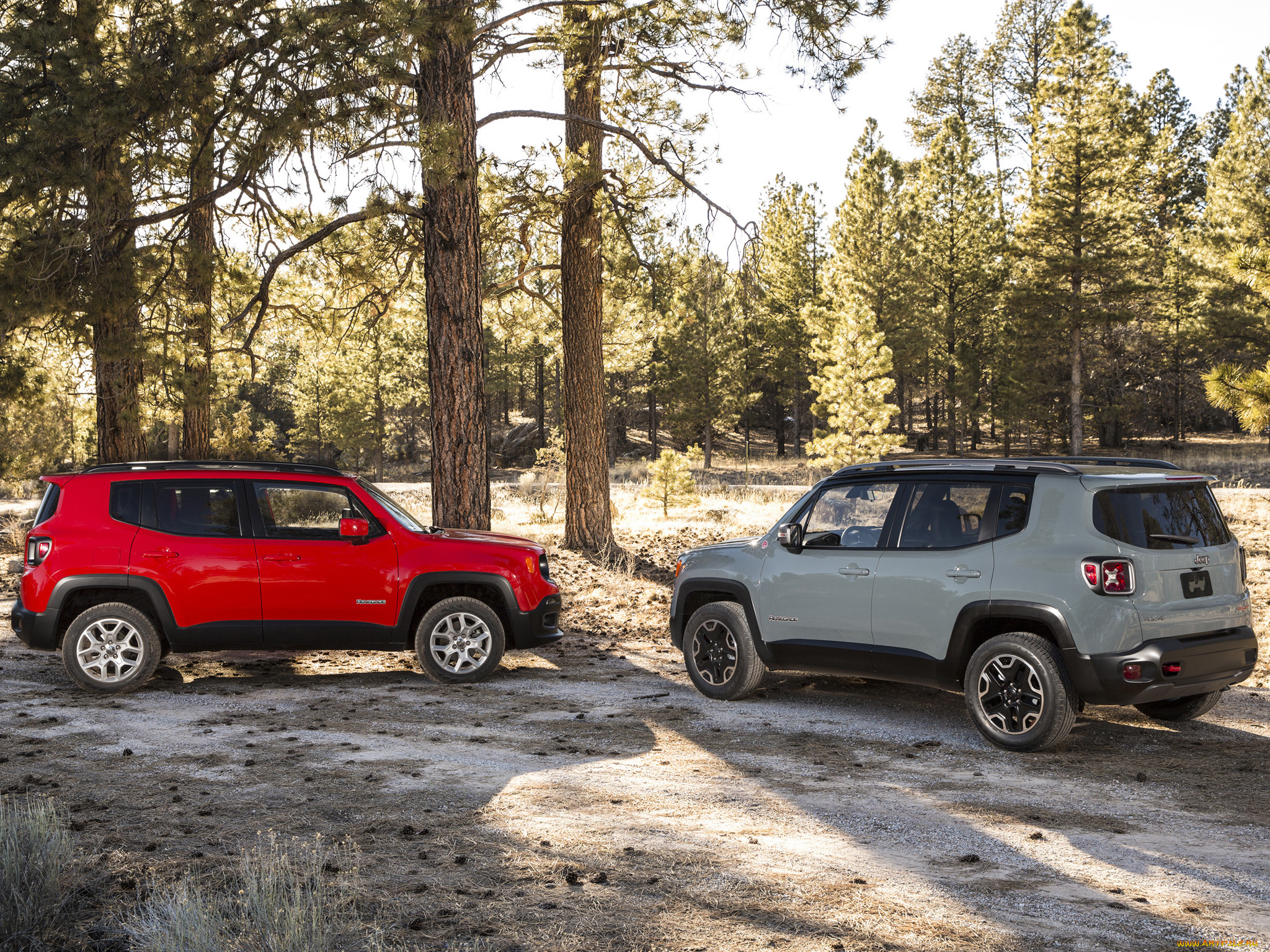 , jeep, renegade